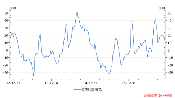 12月25日鸡蛋期货持仓龙虎榜分析：鸡蛋主力处于净多头状态