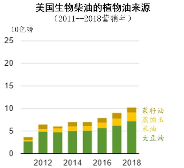 12月25日豆油期货持仓龙虎榜分析：多方进场情绪高涨