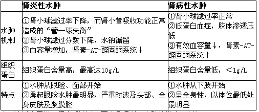 新研究发现雌鼠随年龄增长生育能力下降的机制