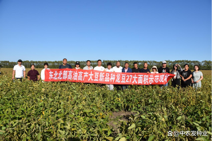 农发种业(600313.SH)：6个玉米新品种及1个大豆新品种获国家审定