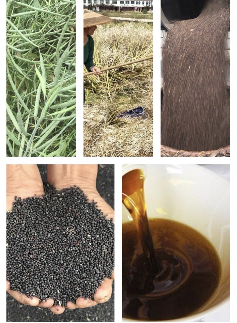 1月2日菜籽油期货持仓龙虎榜分析：多方离场情绪强于空方