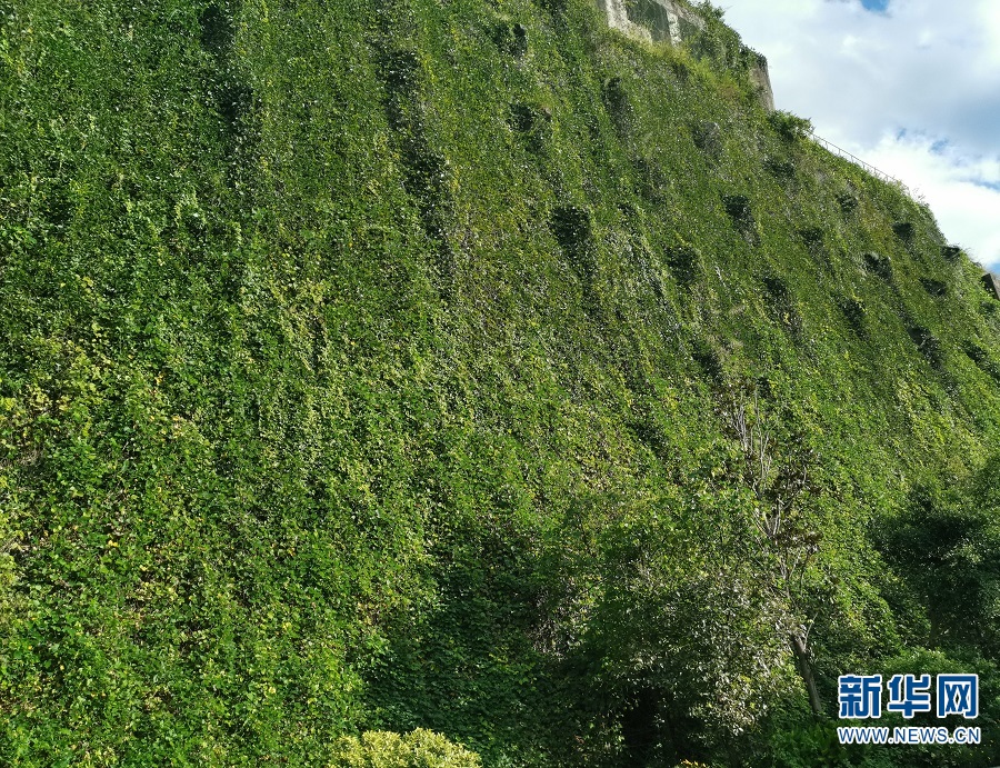华能水电获得发明专利授权:“一种高海拔边坡生态修复环境用气候监测装置”