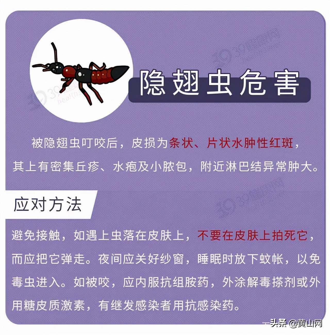睡眠中的瞳孔大小揭示记忆如何分类与保存