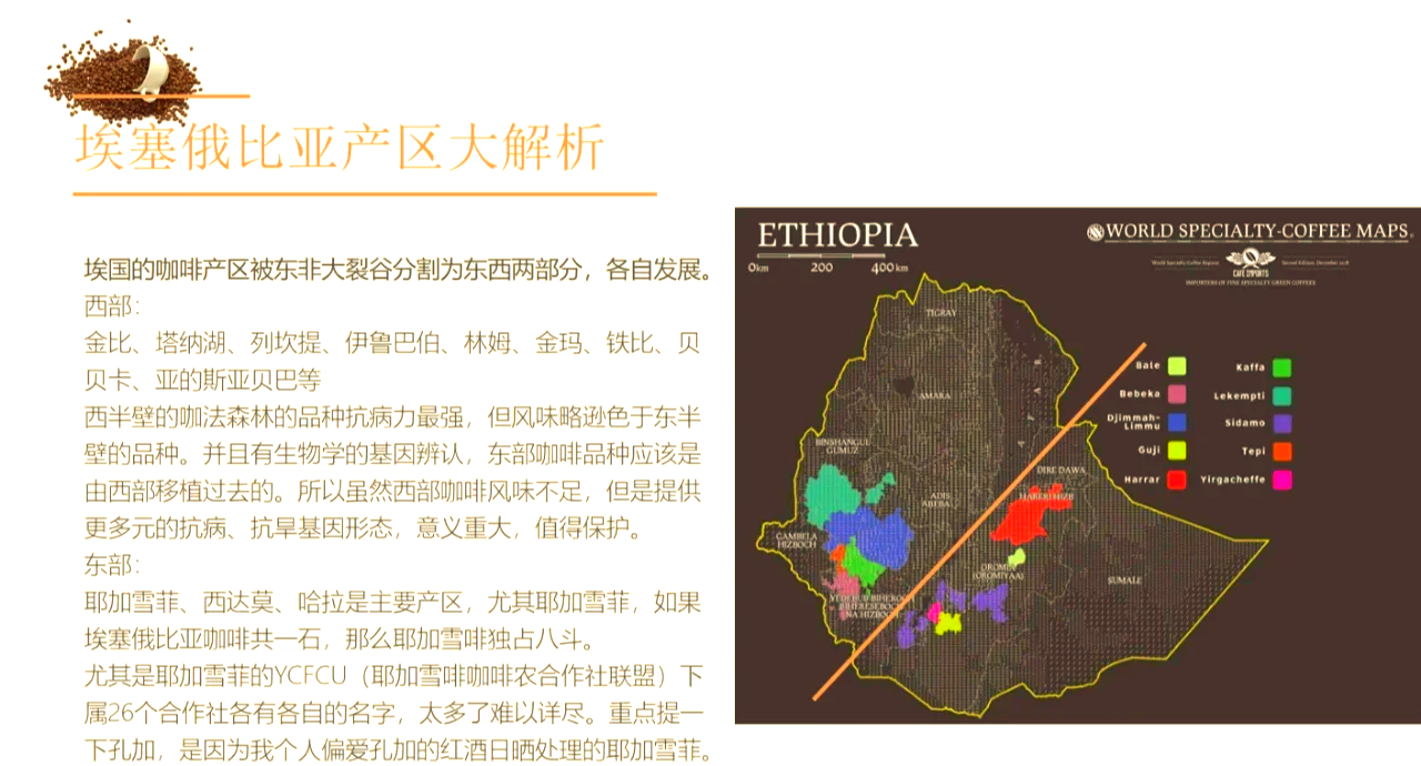 肯或将在2025年超过埃塞俄比亚成为东非最大的经济体