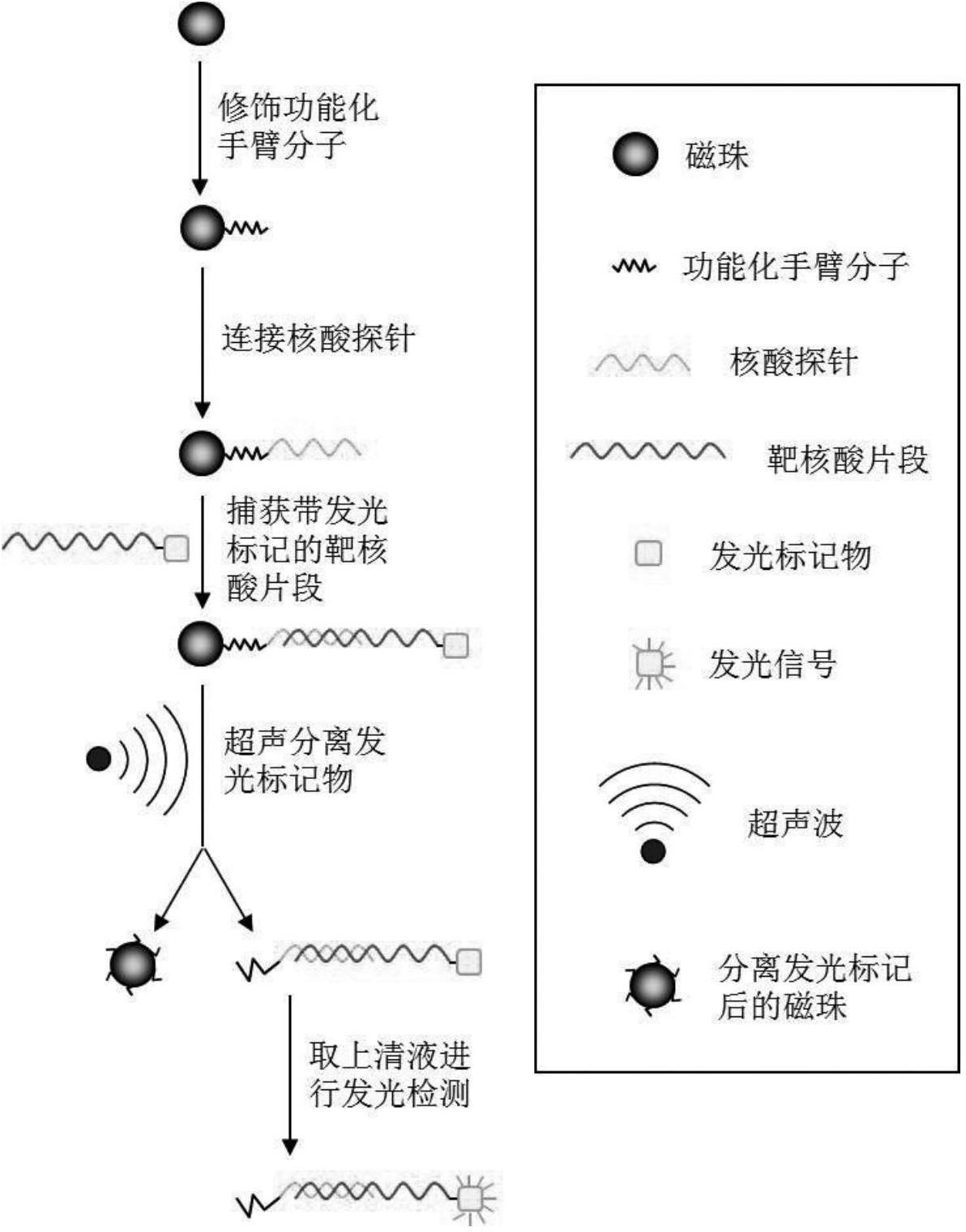诺唯赞获得发明专利授权：“一种使用链霉亲和素磁珠回收生物素修饰核酸的方法”