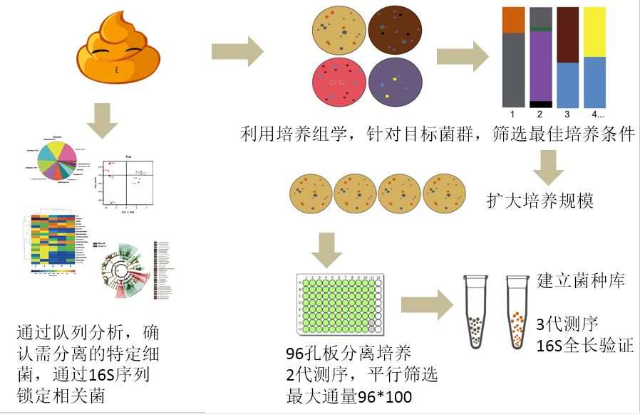 沃森生物：获得核心菌群分析、菌群靶向移植及营养配方技术独占权利
