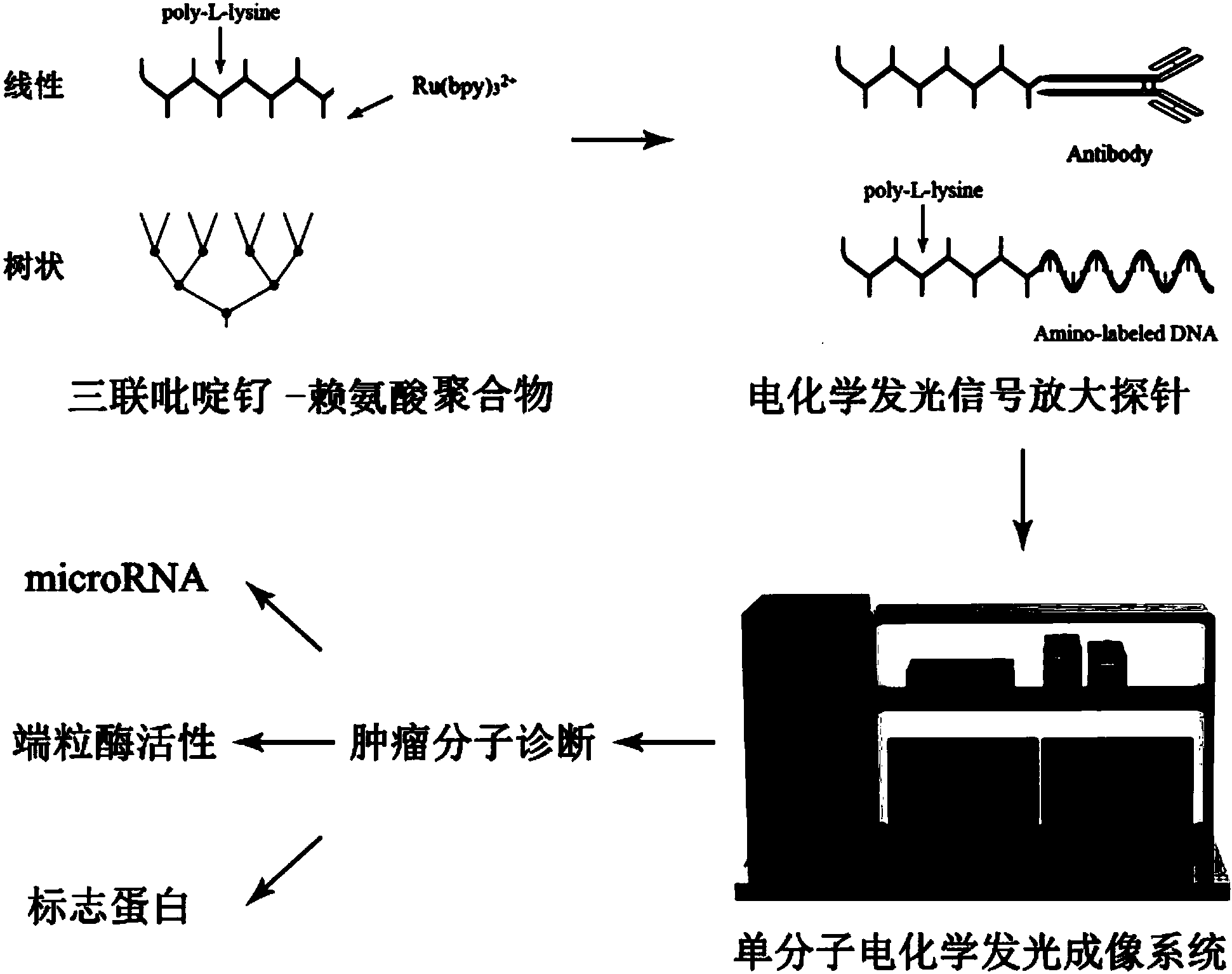 大华股份获得发明专利授权：“重识别方法、目标重识别网络的训练方法及相关设备”