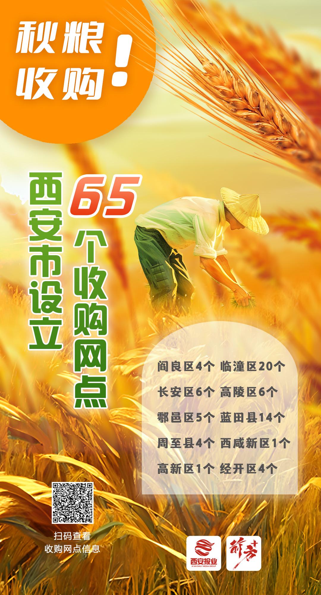 去年秋粮收购创新高 全国现存粮食相关企业超23.5万家