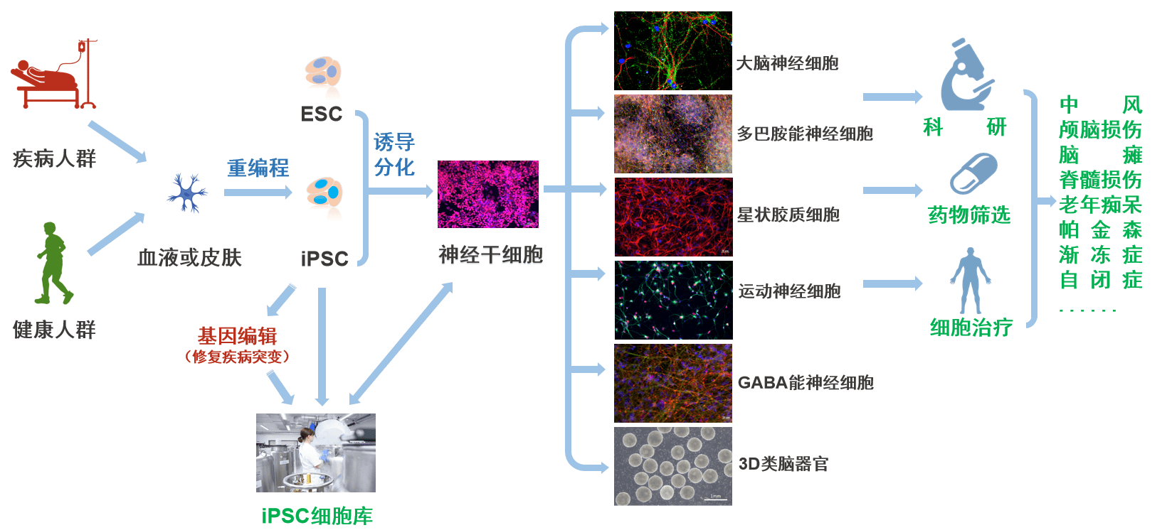 泰恩康：盐酸毛果芸香碱滴眼液临床试验已完成