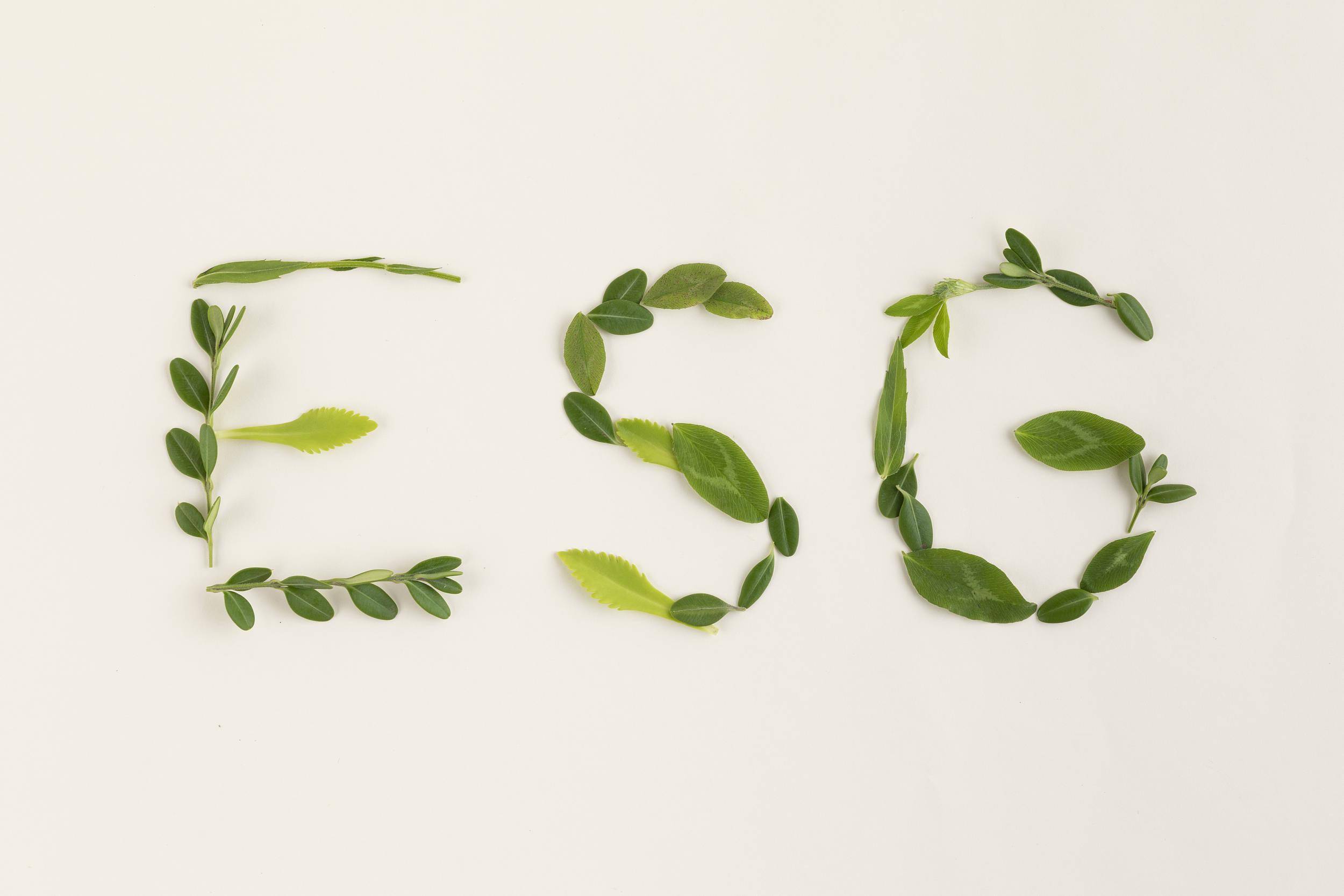 【ESG动态】河钢股份（000709.SZ）获华证指数ESG最新评级BB，行业排名第94