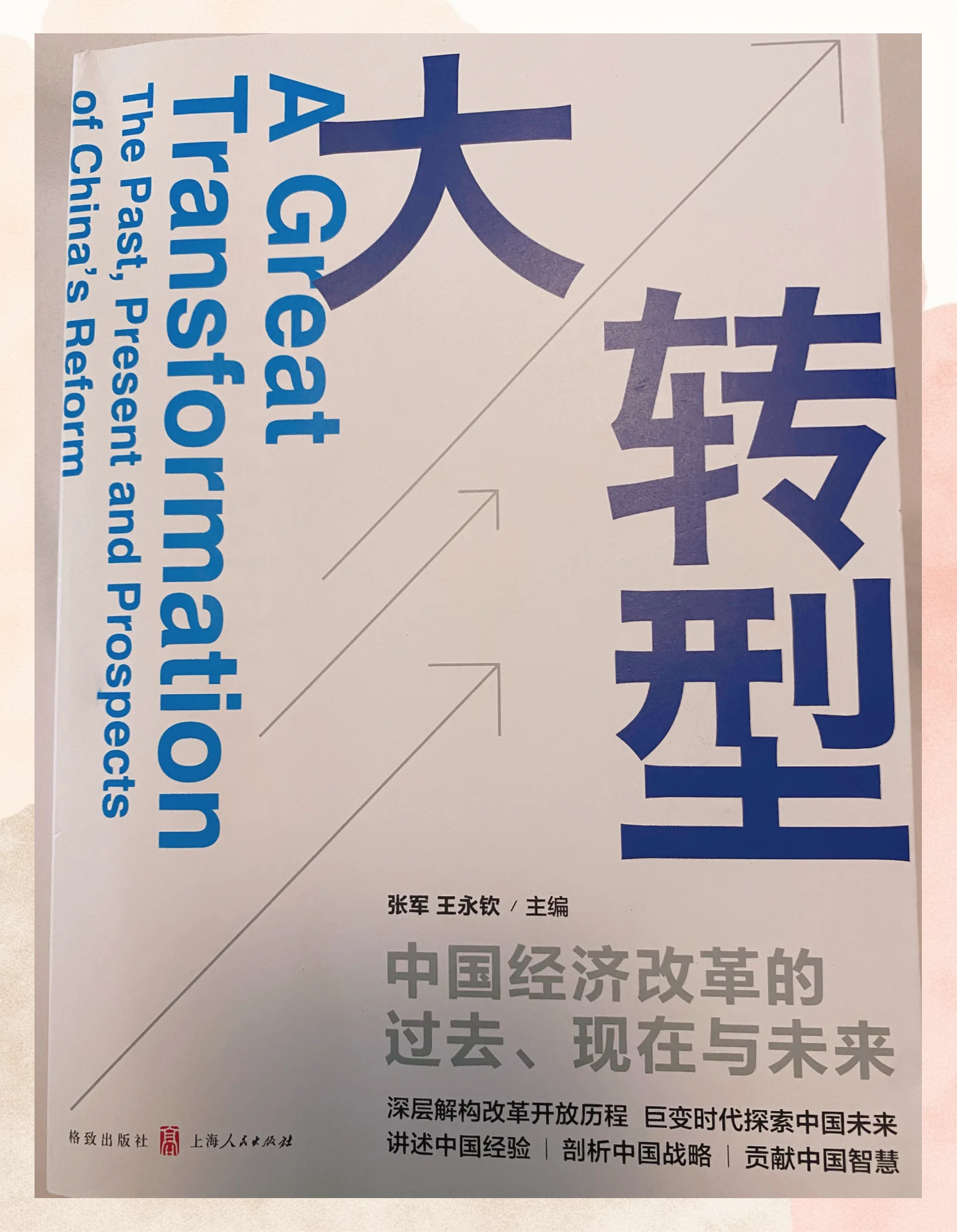 从数字经济引领看大华股份数智化战略推动产业深度融合