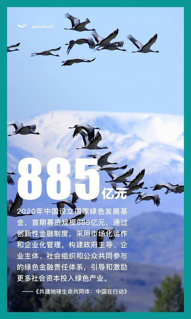 赤几参加联合国经社理事会发展筹资后续行动论坛